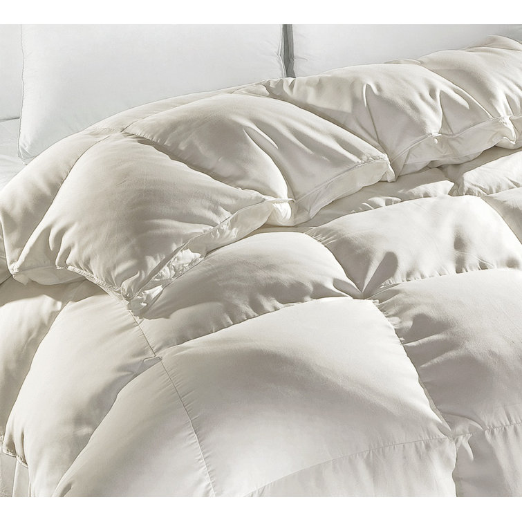 DownTown Company Siberian Goose Down All Season Down Comforter Perigold
